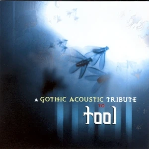 A Gothic Acoustic Tribute to Tool