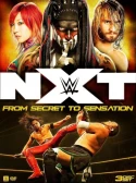 NXT: From Secret To Sensation