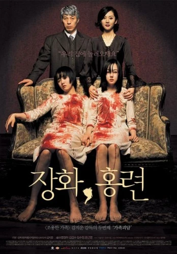 DVD Cover (Metro)