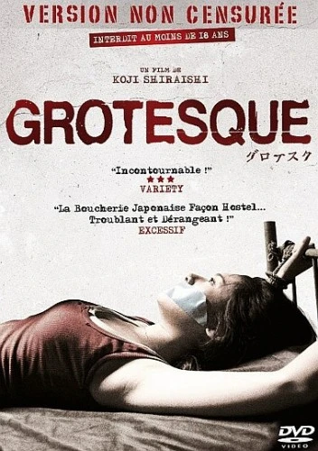 DVD Cover (France)