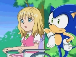 Chase After the Hero Sonic!