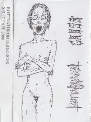 Split Tape 2000