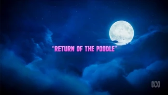 Return of the Poodle