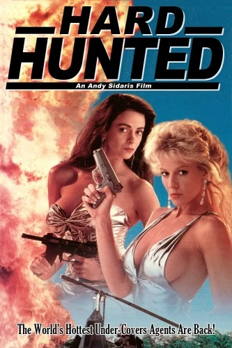 Theatrical Poster