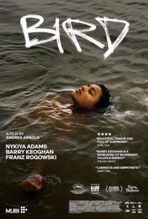 Theatrical Poster