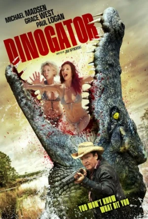 DVD Cover (Vision Films)