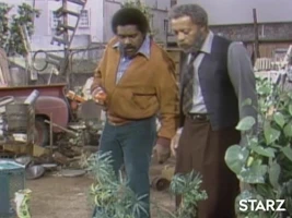 Fred's Treasure Garden