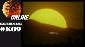 Phase IV
