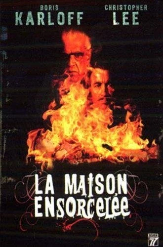 DVD Cover (France)