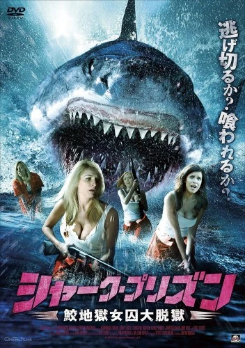 DVD Cover (Japan)