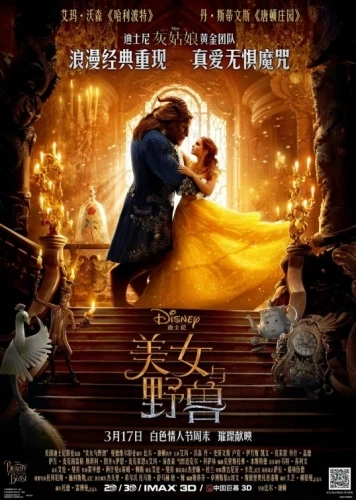 Theatrical Poster (China)