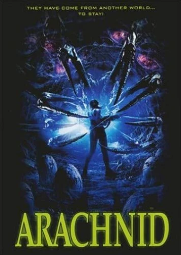 DVD Cover (Lions Gate)