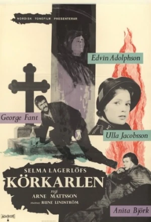 DVD Cover (Sweden)