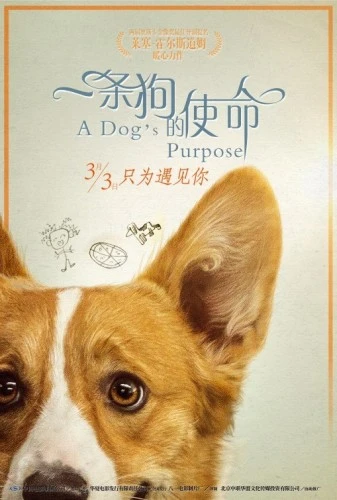 Theatrical Poster (Japan)