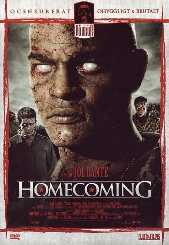 DVD Cover (Sweden)