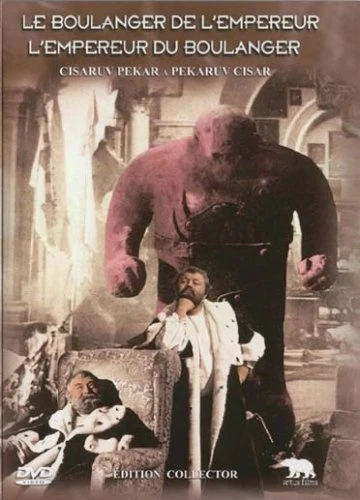 DVD Cover (France)