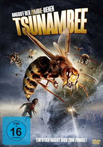DVD Cover (Germany)