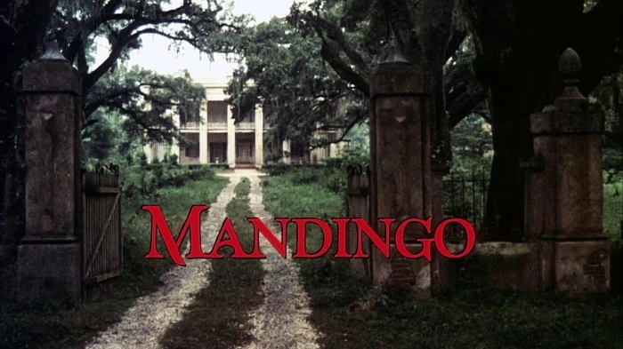 Title Card