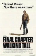 Walking Tall: Final Chapter