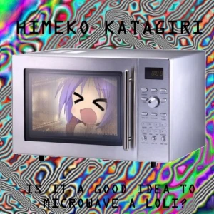 Is It a Good Idea to Microwave a Loli?
