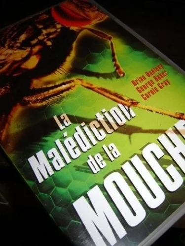 DVD Cover (Italy)