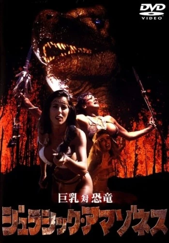 DVD Cover (Japan)