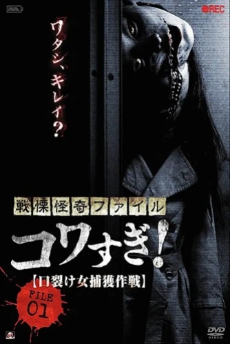 Theatrical Poster (Japan)