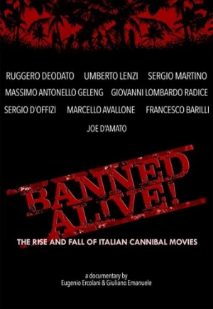 Theatrical Poster