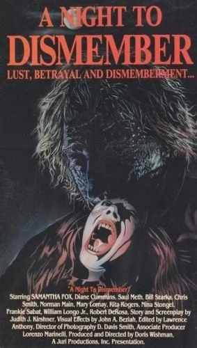 VHS Cover (MPI Home Video)