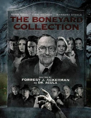 DVD Cover (Green Apple Entertainment)