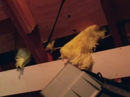 Monsters in the Closet