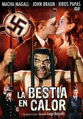 DVD Cover (Spanish)