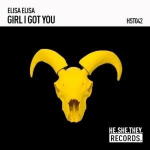 Girl I Got You