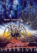 The Spider Labyrinth