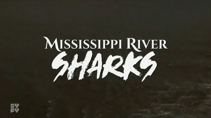 Title Card