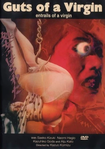 DVD Cover (Denmark)