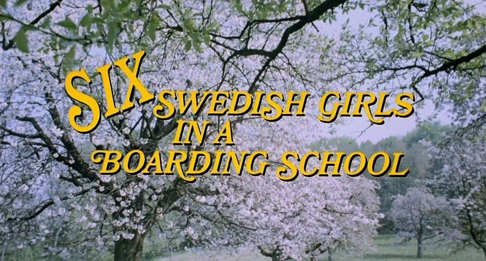 Title Card
