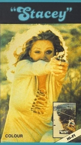 VHS Cover (High Park Studios)