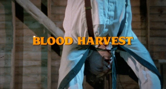 Title Card