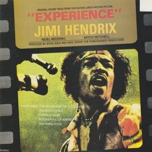 Experience