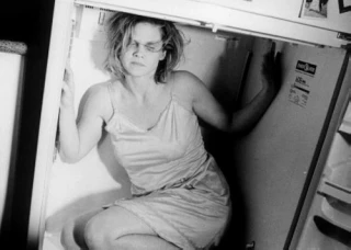 Leslie Ann Coles