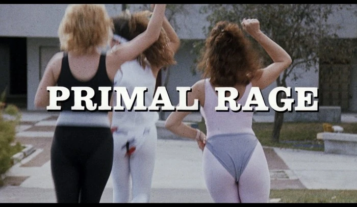 Title Card