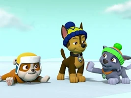 Pups Save the Snowshoeing Goodways/Pups Save a Duck Pond