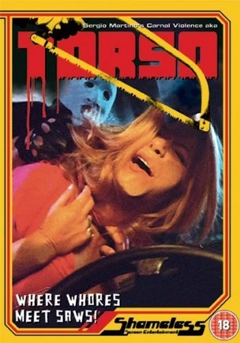 DVD Cover (Shameless)