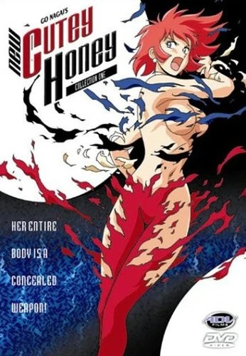 DVD Cover (Section 23 - Vol. 1)