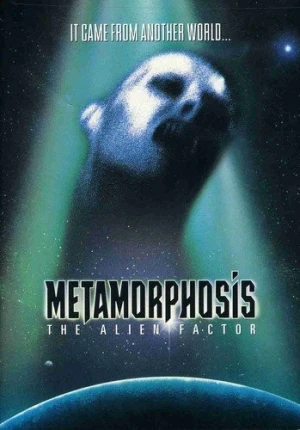 DVD Cover (Lions Gate)