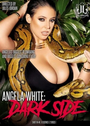 DVD Cover (Jules Jordan Video)