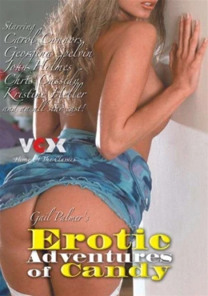 DVD Cover (VCX)