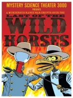 Last of the Wild Horses