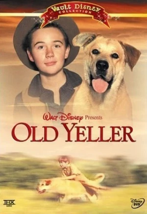 DVD Cover (Walt Disney Studios)